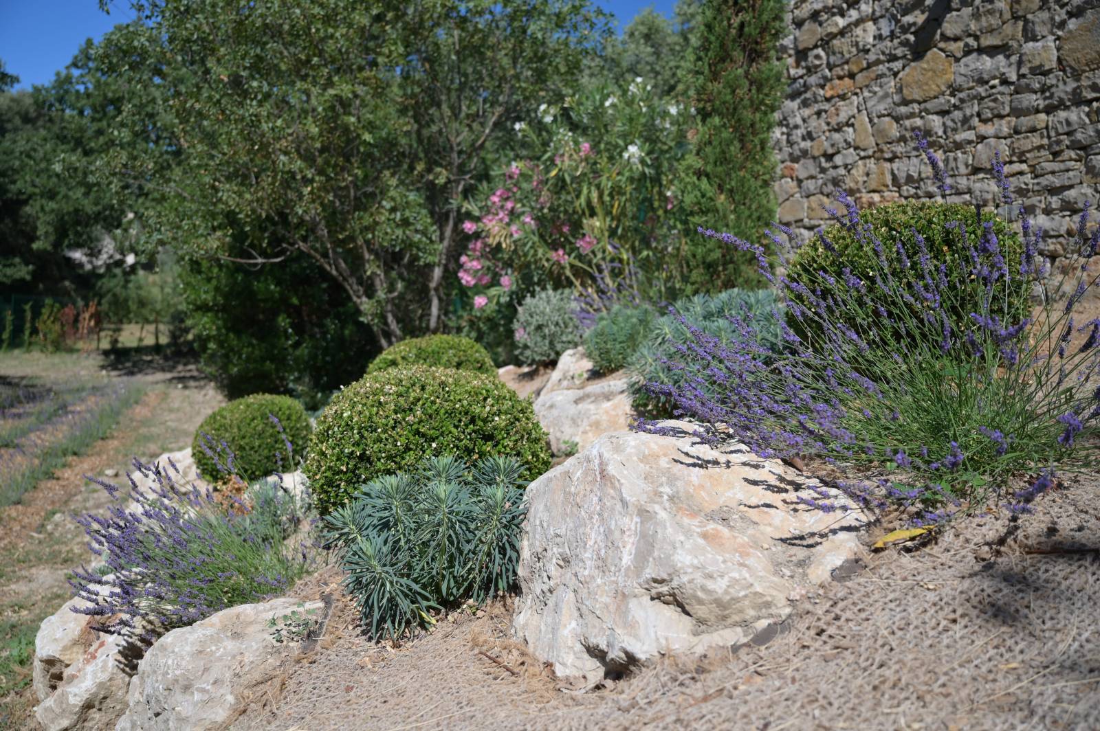Aménagement d'un Jardin Sec à Jouques