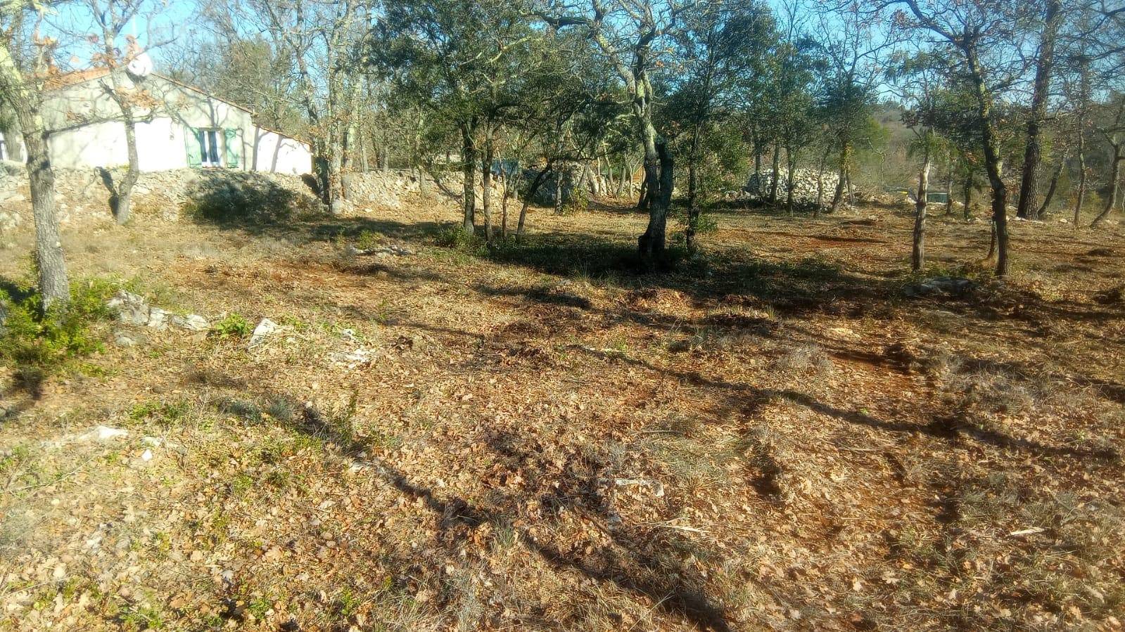 Débroussaillage à Jouques dans les Bouches du Rhône