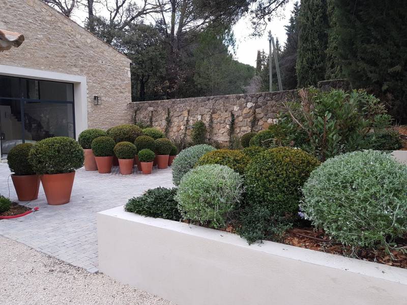 Restauration d'une cour intérieure végétalisée pour un Mas ancien dans le Luberon