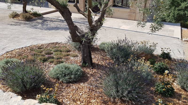 Restauration et végétalisation de restanques pour une Bastide dans le Haut-Var à Artigues