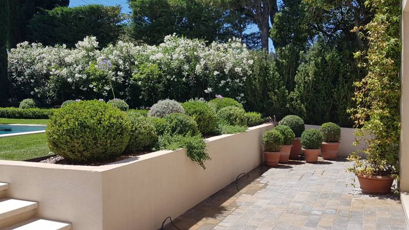 Rénovation d'un jardin toscan sur une Maison de Maître à Saint-Tropez
