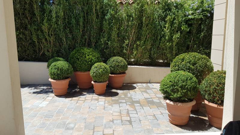 Rénovation d'un jardin toscan sur une Maison de Maître à Saint-Tropez