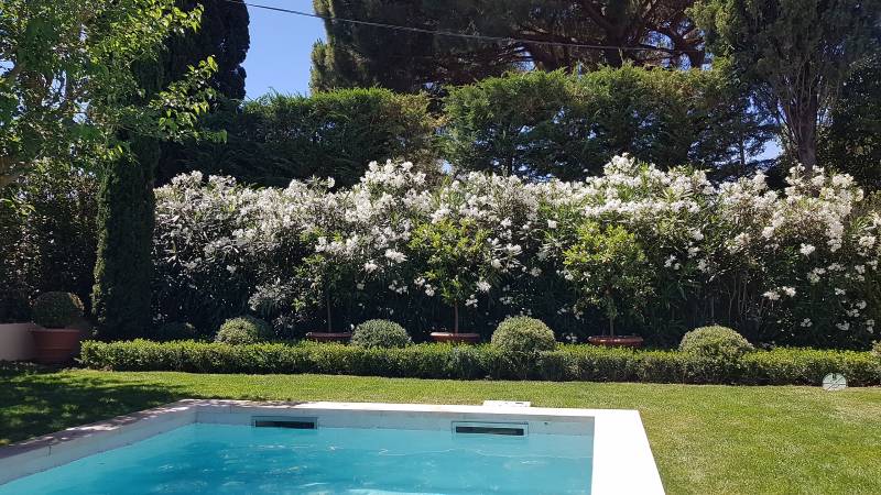 Rénovation d'un jardin toscan sur une Maison de Maître à Saint-Tropez