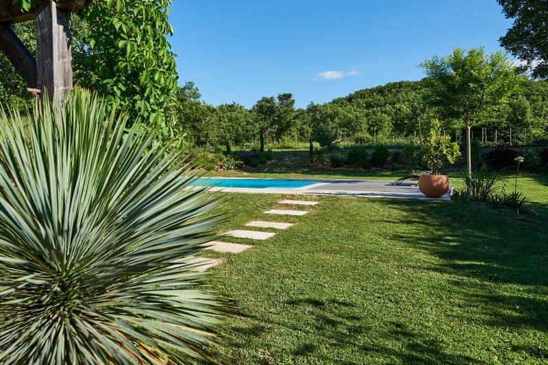 Création de jardin exotique autour d'une piscine à Manosque