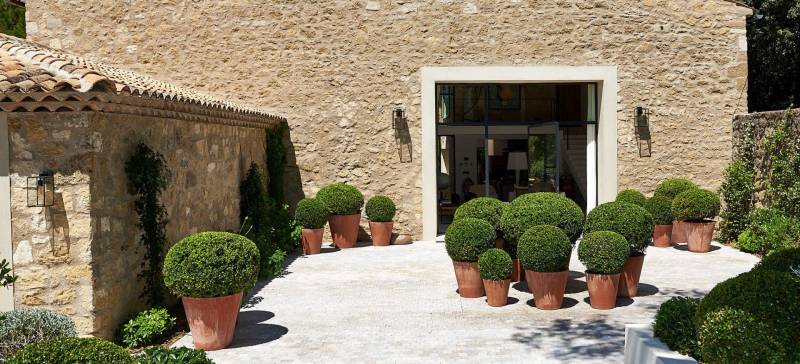 Restauration d'une cour intérieure végétalisée pour un Mas ancien dans le Luberon