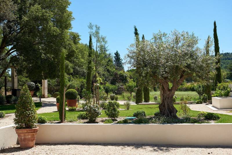 Restauration d'une cour intérieure végétalisée pour un Mas ancien dans le Luberon