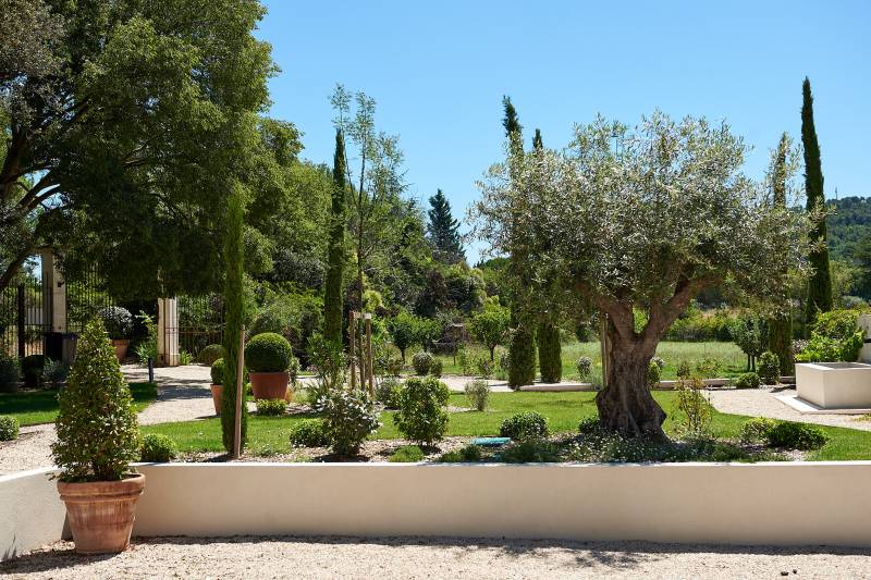 Aménagement d'un olivier et de jardin zen à Trets 
