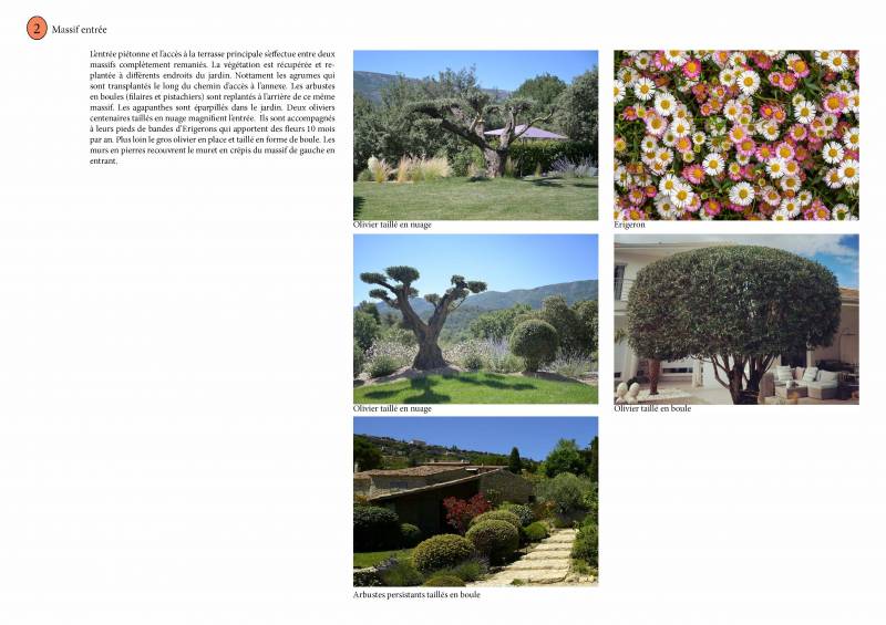 Dessin d'une étude paysagère à la Cadières d'Azur dans le Var