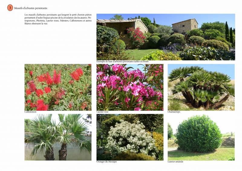 Dessin d'une étude paysagère à la Cadières d'Azur dans le Var