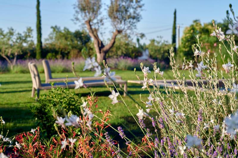 Conception d'un jardin fleuri autour d'un Pool house à Ventabren