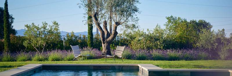 Conception d'un jardin fleuri autour d'un Pool house à Ventabren