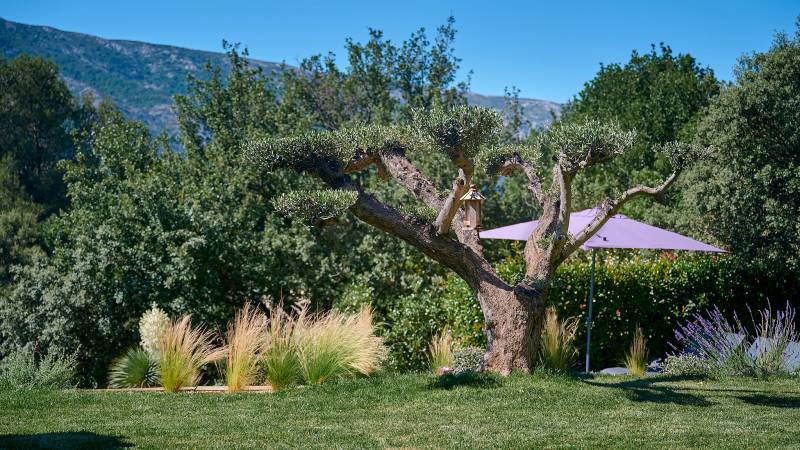 Jardin méditerranéen au pied de la Sainte Victoire