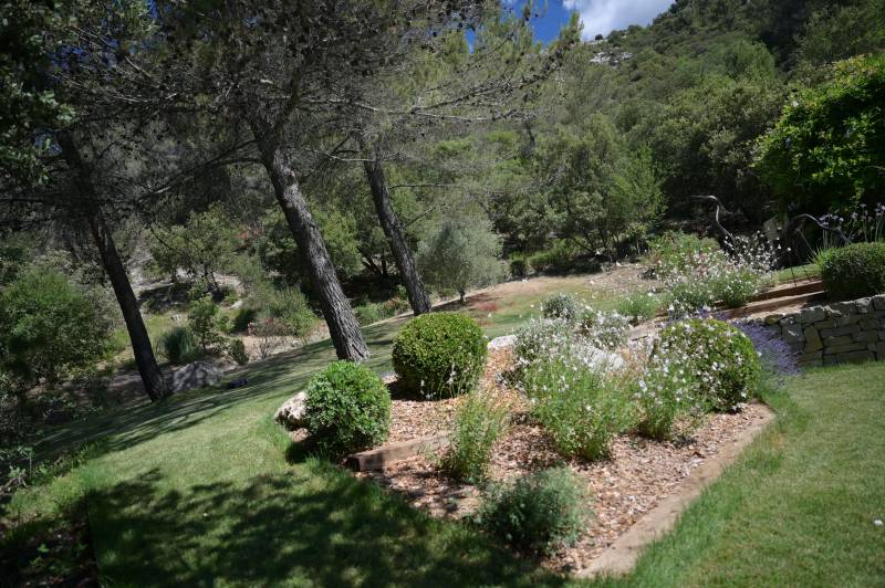 Aménagement d'un jardin Provençale à Rians dans le Var