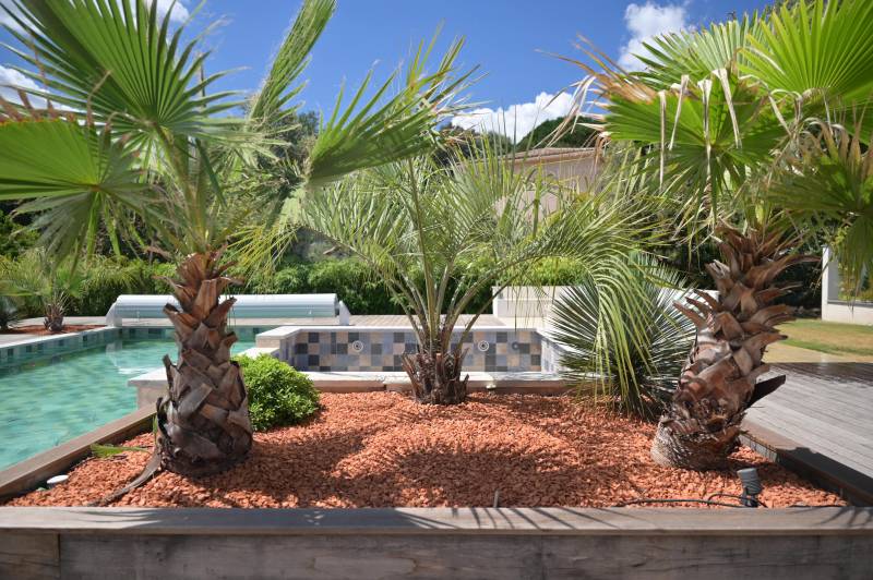 Plantation aux abords d'une piscine à Jouques dans les bouches du Rhône