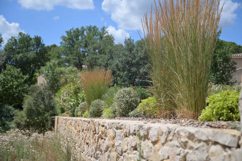 Plantation aux abords d'une piscine à Jouques dans les bouches du Rhône