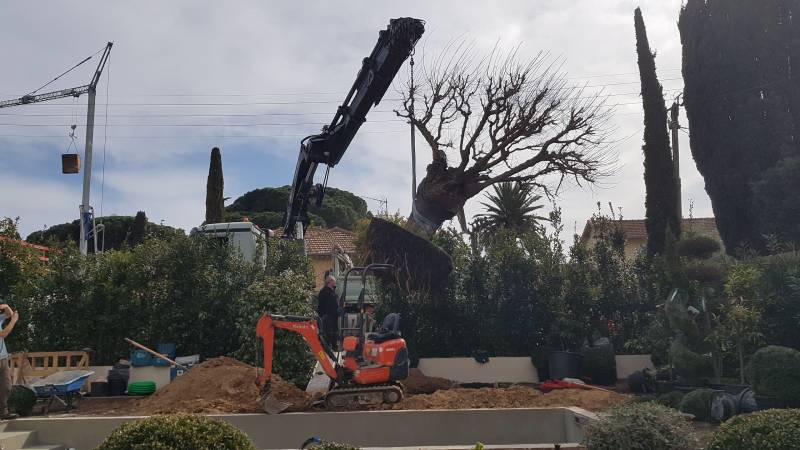 Plantation de végétaux méditerranéen à Peynier dans les Bouches du Rhône