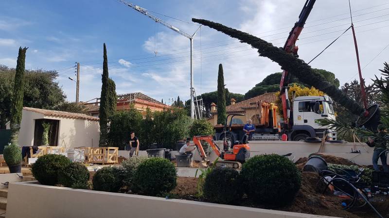 Plantation de végétaux méditerranéen à Peynier dans les Bouches du Rhône