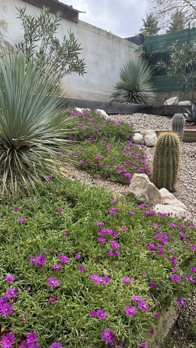 Aménagement d'une entrée de propriété à Rians