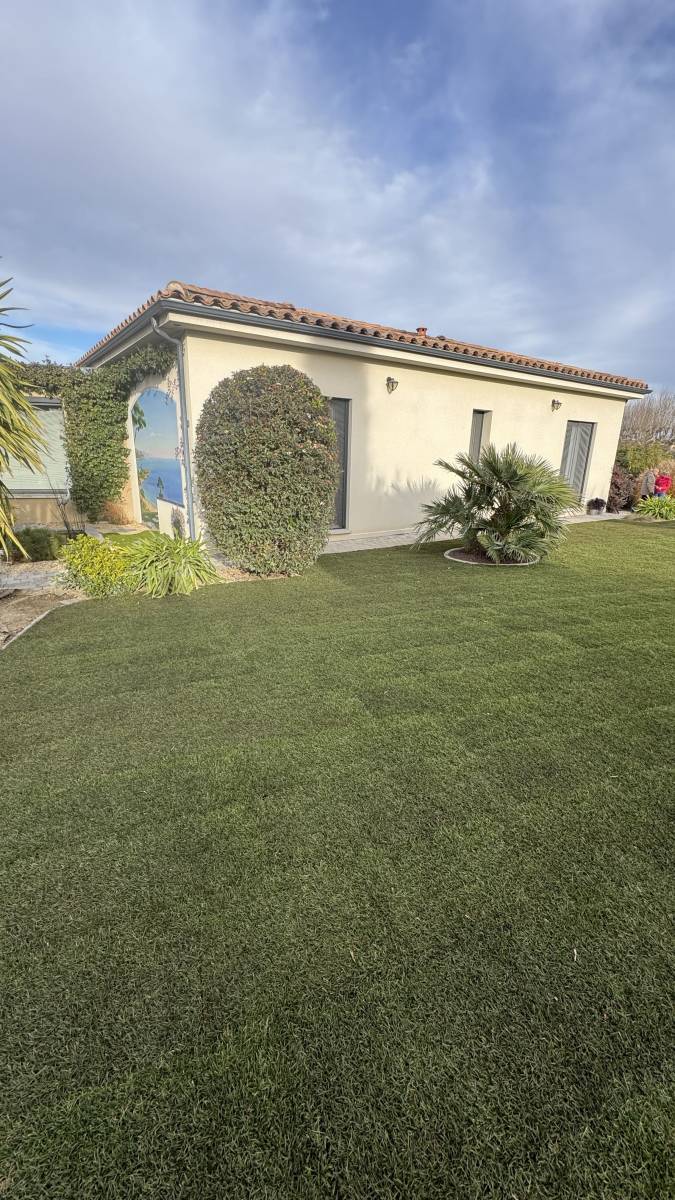 Gazon en plaque pas cher Var