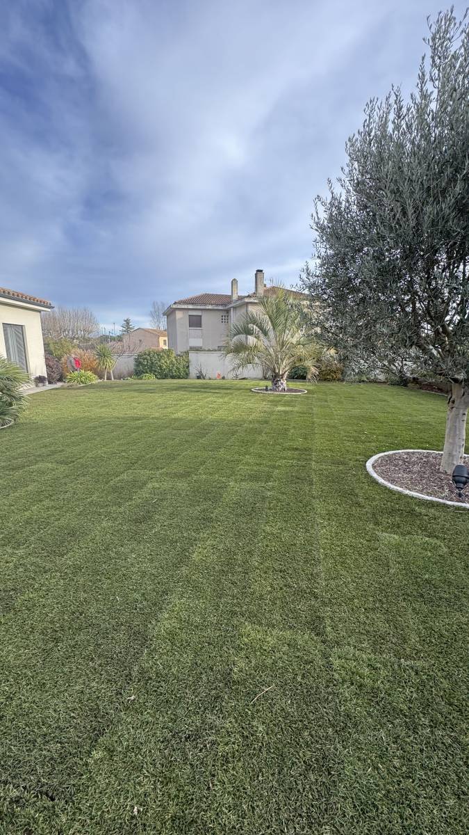 Gazon en rouleau économique Var