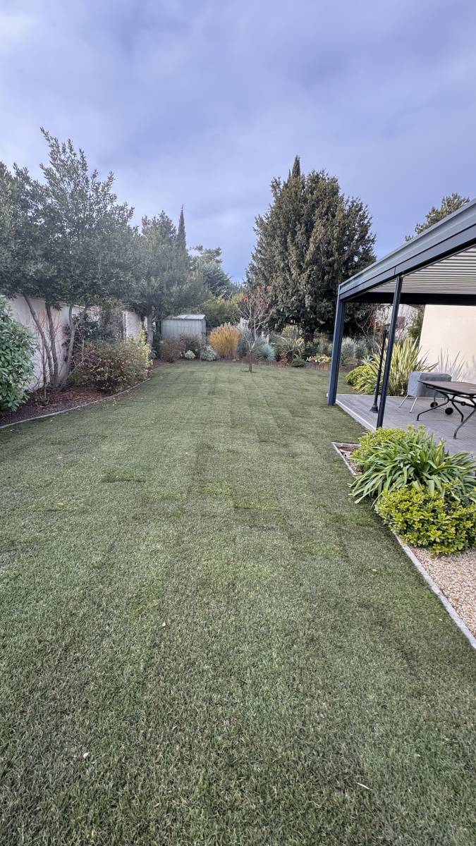 Gazon en plaque economique Var