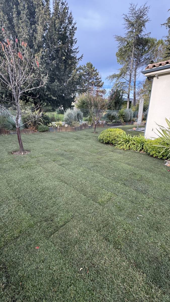 Gazon en plaque Saint-Maximin-la-Sainte-Baume