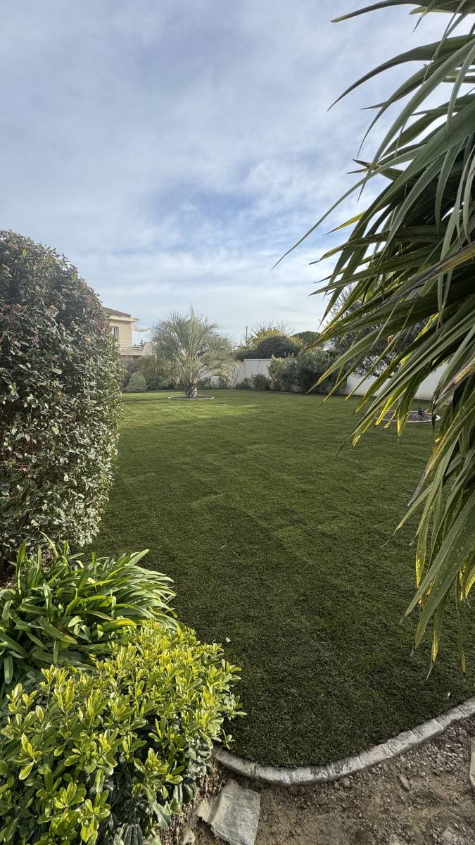 Gazon en rouleau pas cher Var