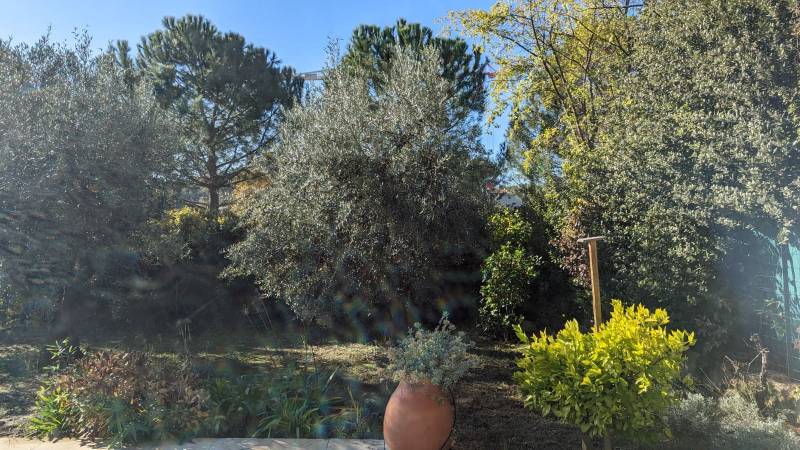 Aménagement d'un jardin à Aix en Provence dans les Bouches du Rhône