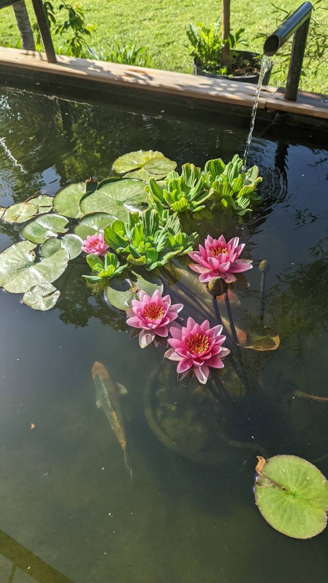 Aménagement d'un bassin à Rians dans le Var
