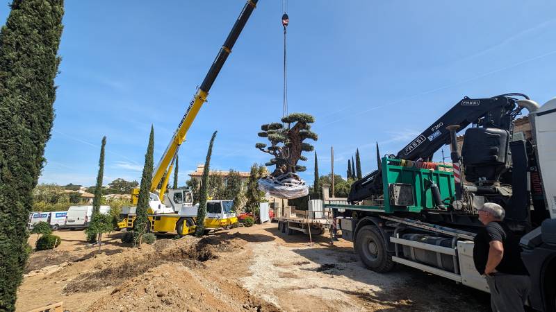 Olivier Saint-Maximin