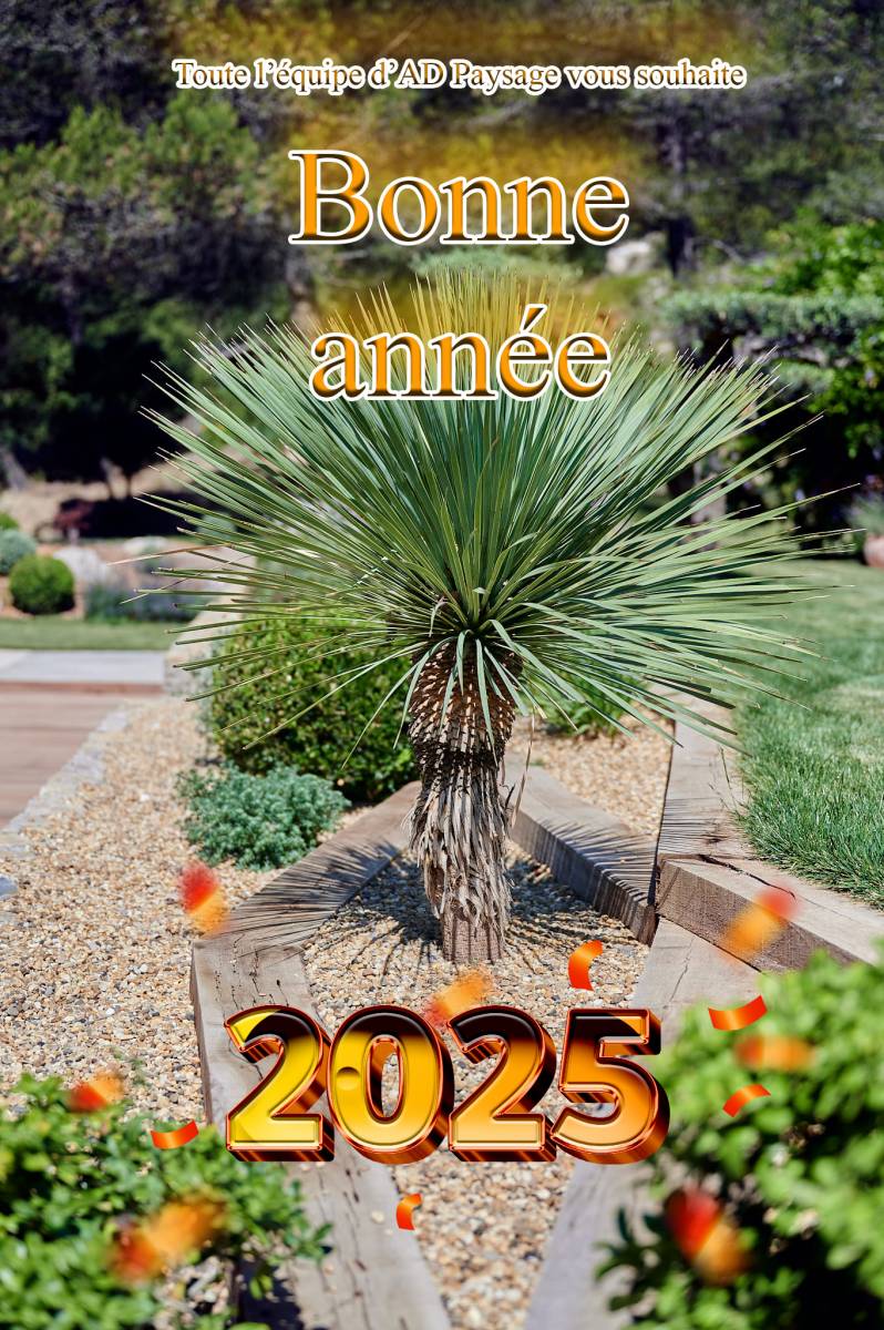 Bonne année 2025