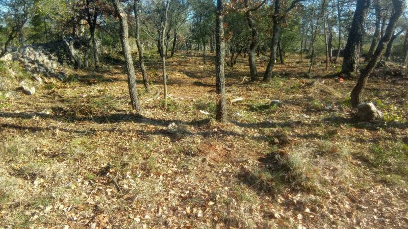 Débroussaillage à Jouques dans les Bouches du Rhône