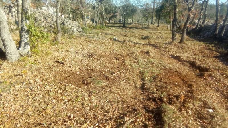 Débroussaillage à Jouques dans les Bouches du Rhône