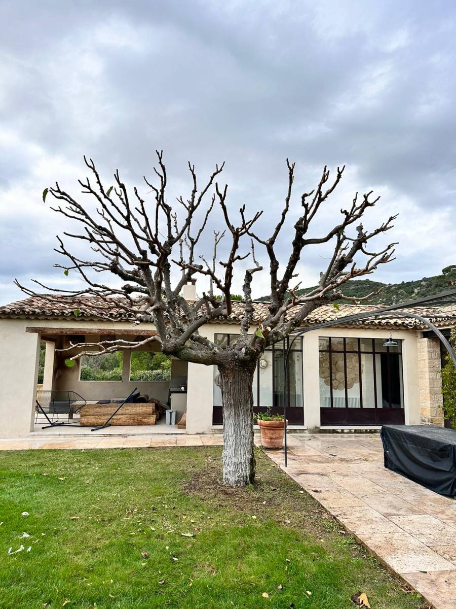 Entretien de jardin à Jouques dans les Bouches-du-Rhône